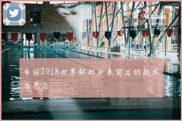 专访2018世界杯积分表背后的战术与悬念