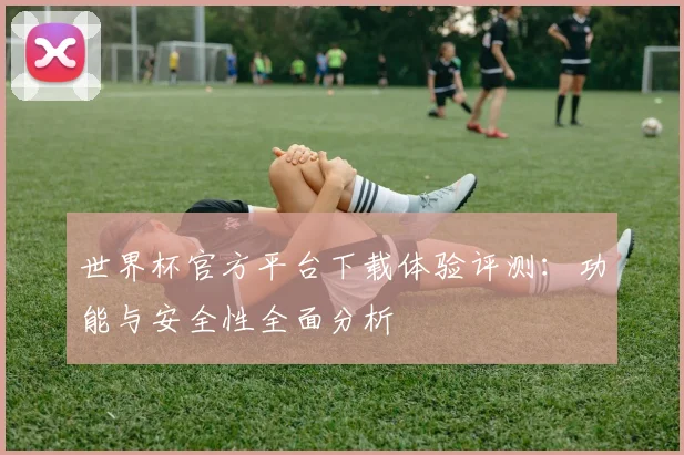 世界杯官方平台下载体验评测:功能与安全性全面分析