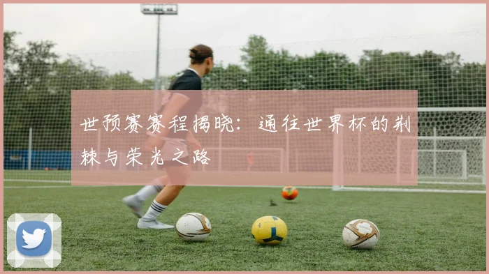世预赛赛程揭晓:通往世界杯的荆棘与荣光之路
