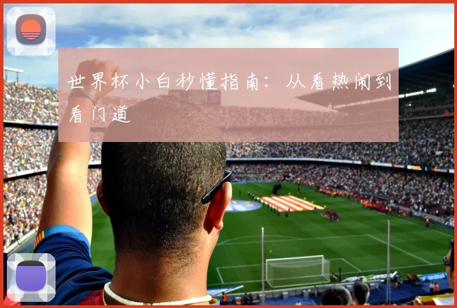 世界杯小白秒懂指南：从看热闹到看门道