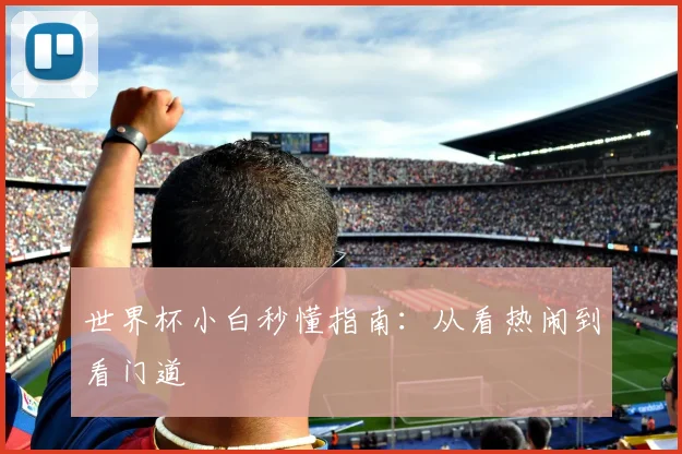 世界杯小白秒懂指南：从看热闹到看门道