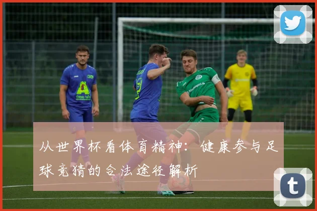从世界杯看体育精神：健康参与足球竞猜的合法途径解析